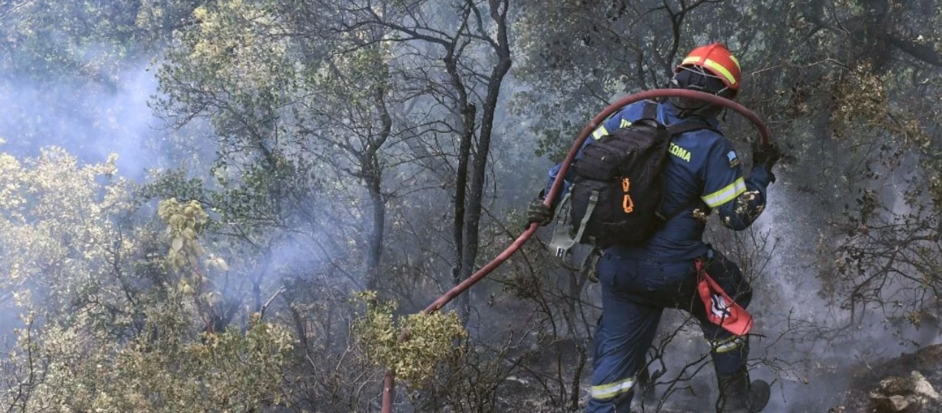 Εκτός ελέγχου η φωτιά στα Τρίκαλα - Δέντρα τυλίχτηκαν στις φλόγες
